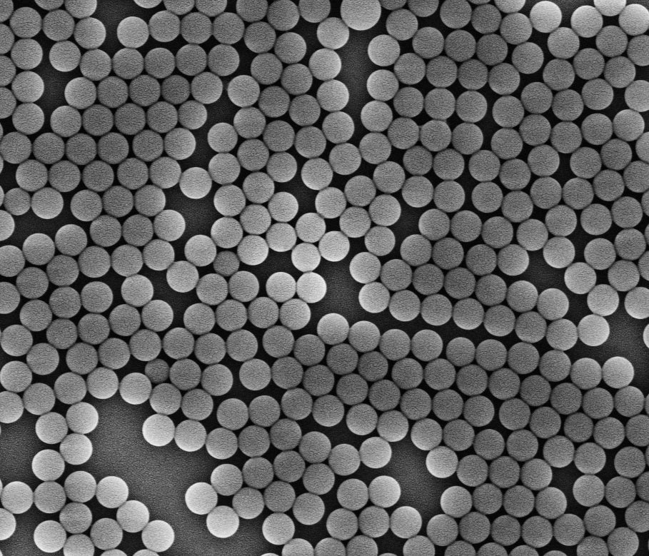 PolyRef™ Calibration Beads