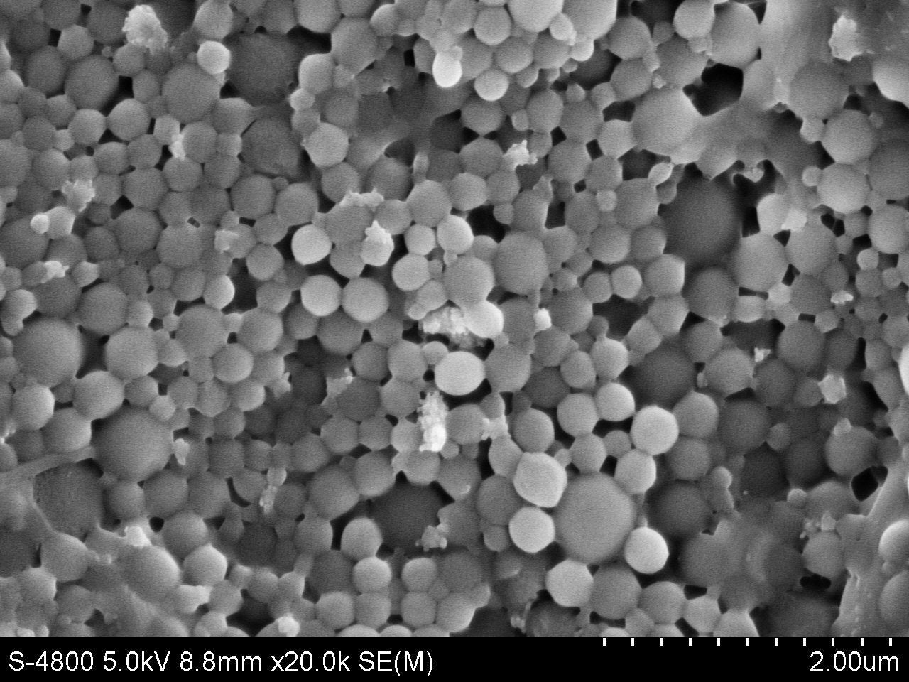PolyRef™ Microplastic Standards