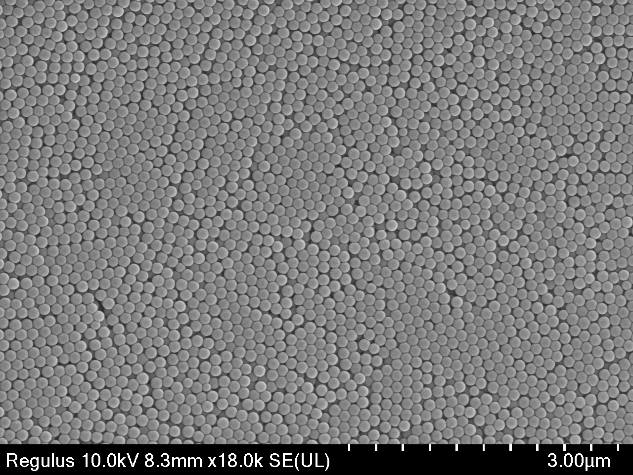 Monodisperse Polystyrene (PS) Microspheres – Size Standard for SEM, Flow Cytometry & DLS Calibration | PolyRef™