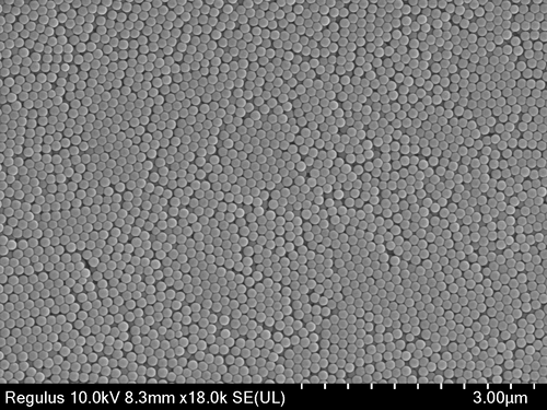 Monodisperse Polystyrene (PS) Microspheres – Size Standard for SEM, Flow Cytometry & DLS Calibration | PolyRef™