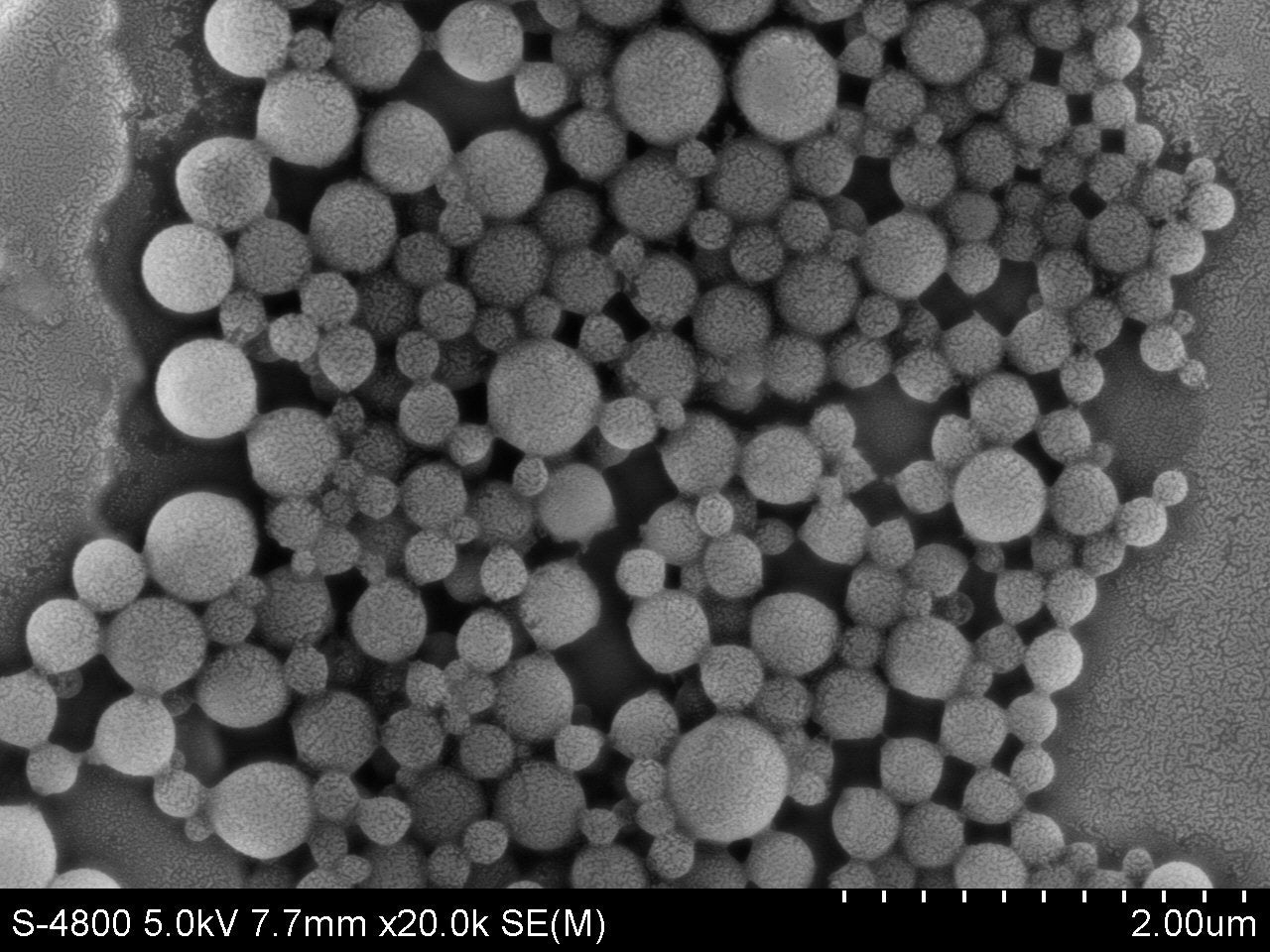 PVC Microspheres – Polyvinyl Chloride Microplastic Reference Standard | PolyRef™