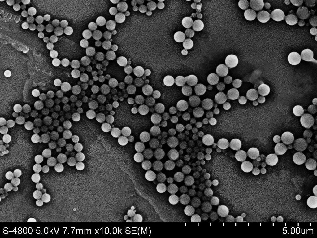 PVC Microspheres – Polyvinyl Chloride Microplastic Reference Standard | PolyRef™