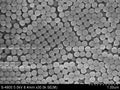 Monodisperse PMMA Microspheres – Polymethyl Methacrylate Particles for Optical, Biomedical & Flow-Tracing Applications | PolyRef™