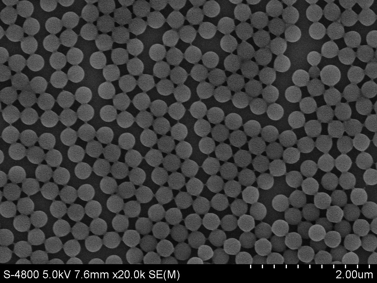 Monodisperse PMMA Microspheres – Polymethyl Methacrylate Particles for Optical, Biomedical & Flow-Tracing Applications | PolyRef™