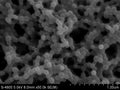 PET Microspheres – Polyethylene Terephthalate Reference Standard | PolyRef™