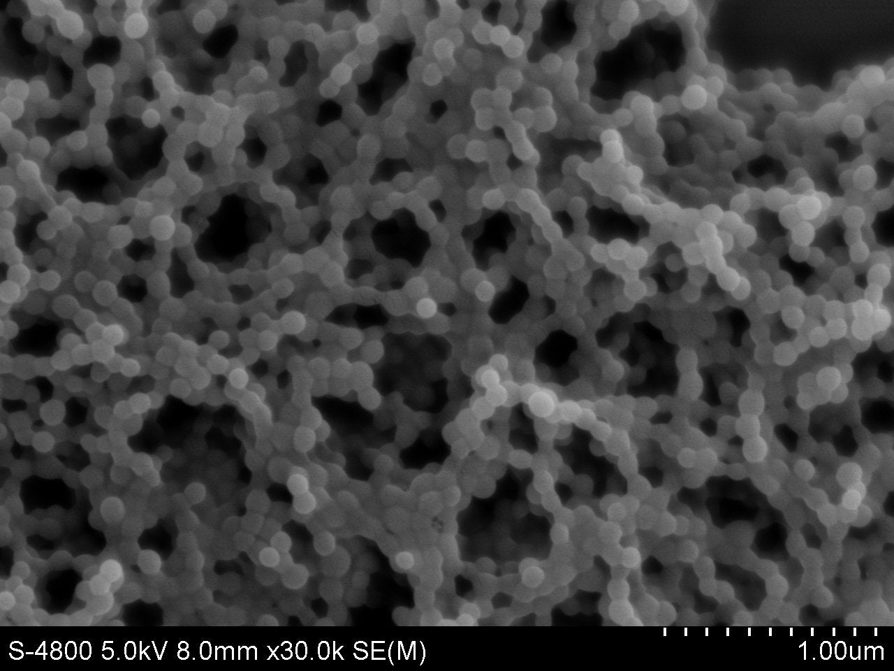 PET Microspheres – Polyethylene Terephthalate Reference Standard | PolyRef™