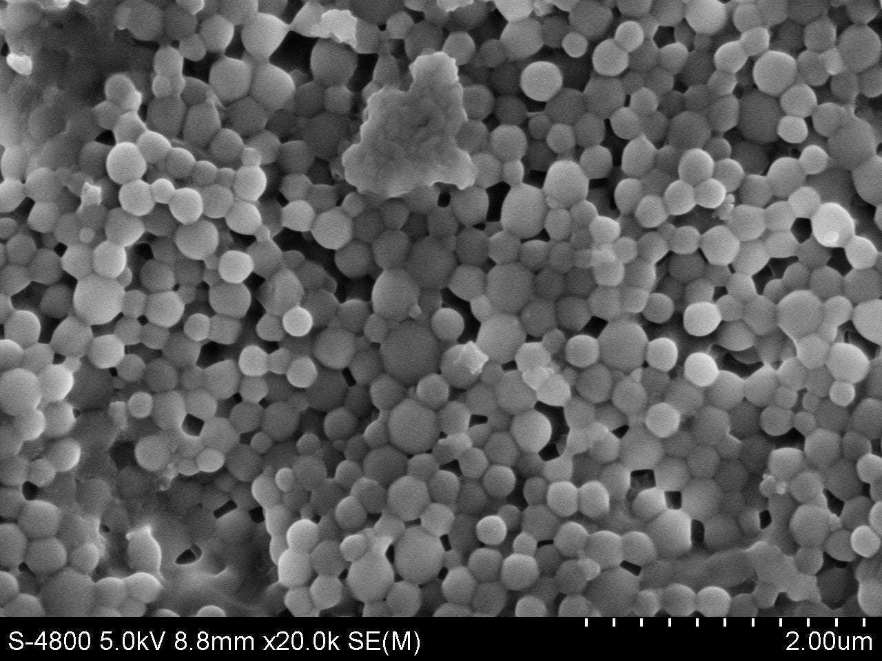 PP Microspheres – Polypropylene Microplastic Reference Standard | PolyRef™