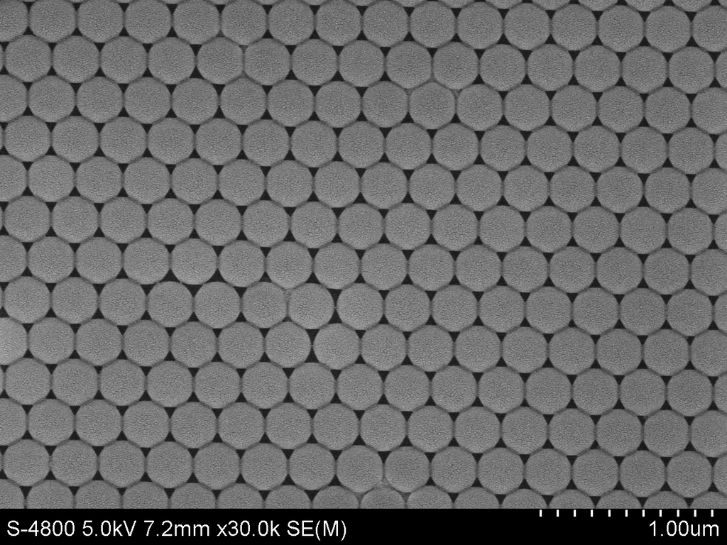 Monodisperse Polystyrene (PS) Microspheres – Size Standard for SEM, Flow Cytometry & DLS Calibration | PolyRef™
