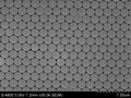 Monodisperse Polystyrene (PS) Microspheres – Size Standard for SEM, Flow Cytometry & DLS Calibration | PolyRef™